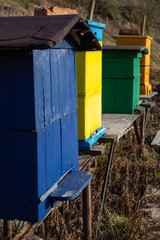 Sunny winter, wintering bees on an apiary, Small apiary
