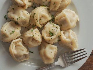 Dumpling on a white plate with herbs and metal fork. Traditional Eastern European food,