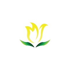 Vector illustration icon of beautiful tulips with white background