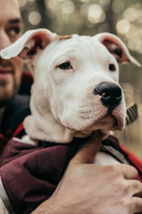 Dog portrait. Man holds a dog in his hands. Dog in the forest.