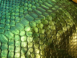 The texture of the skin close-up. Genuine haberdashery leather in green. Genuine python skin,...