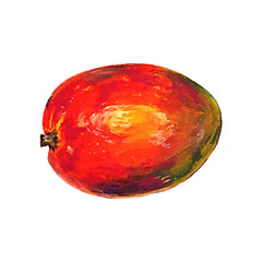 Bright fresh mango isolated on white background. Tropical fruit. Oil pastel hand drawn illustration.