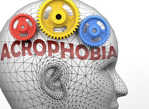 Acrophobia and human mind - pictured as word Acrophobia inside a head to symbolize relation between Acrophobia and the human psyche, 3d illustration