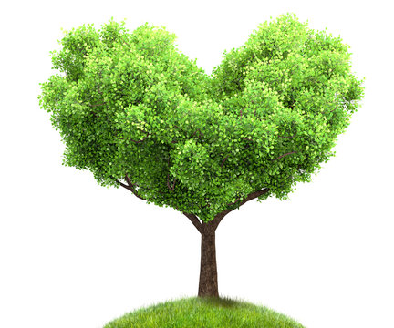 green tree in heart shape 3D illustration, environment concept