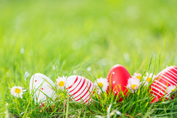 easter eggs in grass and flowers background