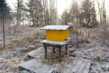 January on an apiary, Frozen yellow beehive with bees.