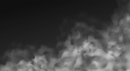 Fog or smoke cloud isolated on transparent background. Realistic smog, haze, mist or cloudiness effect. Realistic vector illustration.