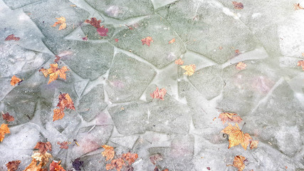 Abstract grunge background. Grey floes with white crisp snow and bronze maple leaves frozen in the ice of pond. Fall aesthetic. Autumn and winter change seasons. Fall textures. Weather backdrop.