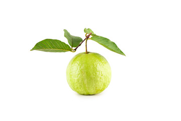 psidium guajava and guava leaf on white background fruit agriculture food isolated