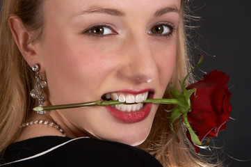 Sexy rose