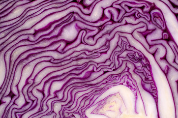 Obraz premium Cut red cabbage close-up.