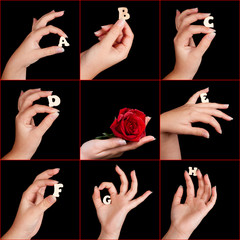 ABC alphabet hands © Anneke