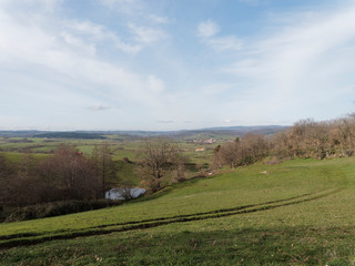 Obraz premium Paysages d'Auvergne. Entre limagne en l'Allier et collines, bocages et plaines du Puy-de-Dôme. Route D207 entre Chaptuzat, Chantemerle, Saint-Angoulin, Saint-Quintin-sur-Sioule et Ebreuil