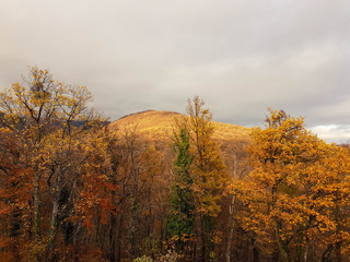 Beautiful autumn colors on mountains near Zagreb.