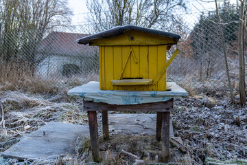 January on an apiary, Frozen yellow beehive with bees.