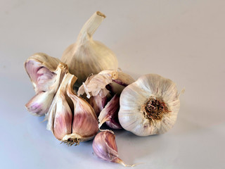 Wiązka czosnek (Allium L.) na białym tle