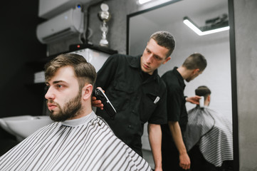 Barber cuts the client with a clipper in his hand in a modern barbershop. Male hairdresser creates hairstyle for handsome bearded man. Barber shop concept.