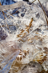 Spikelets in ice in the sunlight