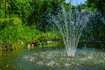 Cascading fountain on emerald surface of pond in old shady garden. Along rocky shores of pond, aquatic plants grow. On surface are flowers and leaves of water lilies. Freshness and cool on sunny day.