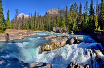 Wild river falls into the rocky riverbed in Yoho National Park, Rocky Mountains, Canada. Beautiful...