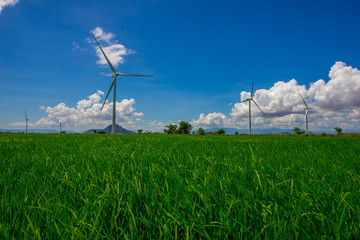 the wind power on the rice field in Phan Rang, Viet nam