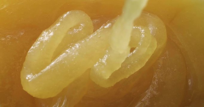 Close-up of honey dripping. Pouring honey on honeycomb.