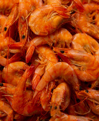 Freshly cooked fresh shrimp. Animal food of marine origin.