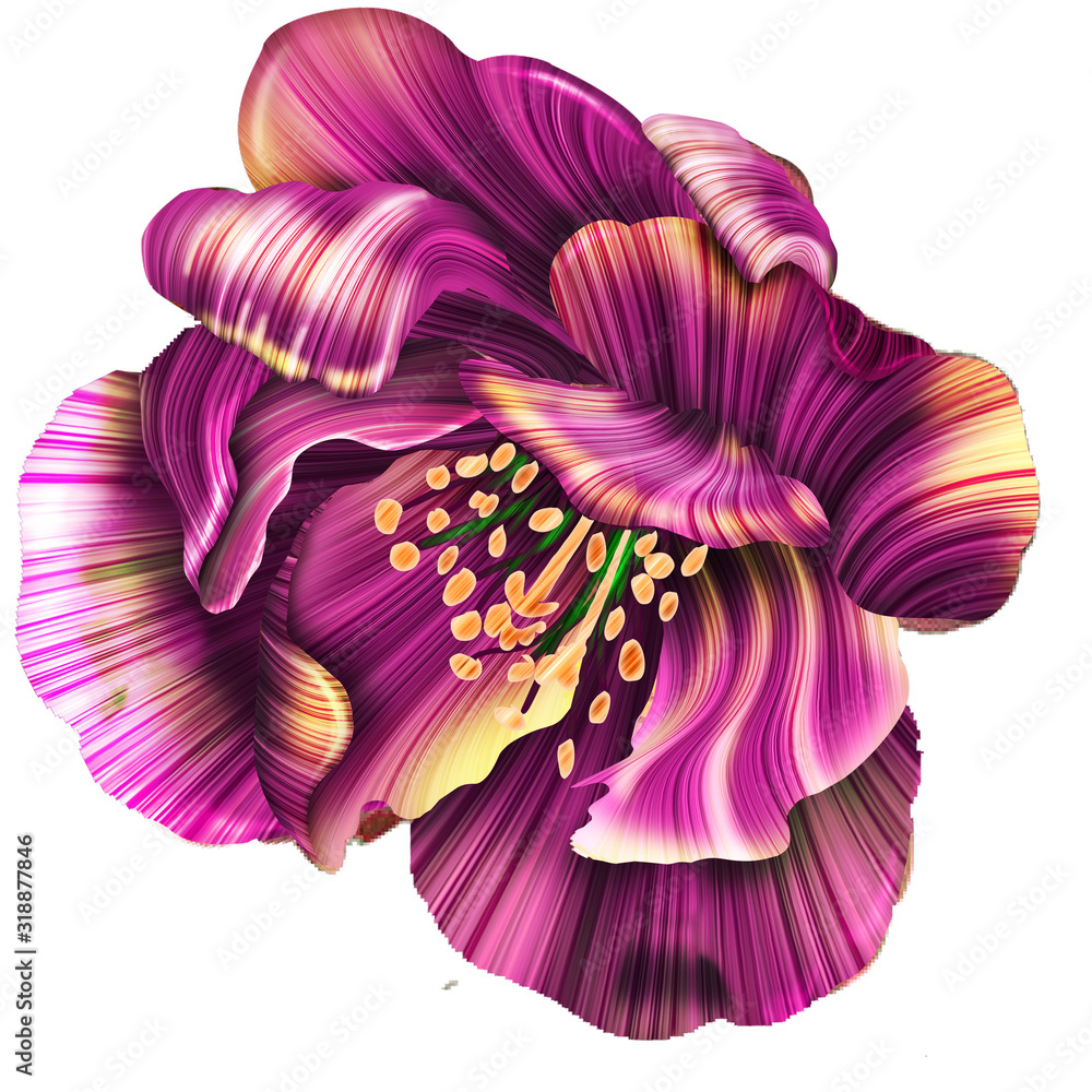 Sticker Colorful Orchid Flower isolated. Beautiful tropical background