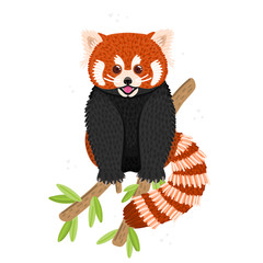 Red panda. Cute fluffy animal sits on branch. Endangered species. Character design. This can be used for postcard, cover, invitation and flyer to the zoo, printing on clothes. Vector illustration