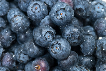 blueberry close - up in packaging, fresh berry macro photo, background image