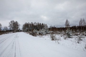 Obraz premium winter landscape with road and trees