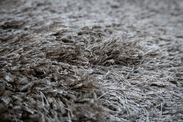 Pile up carpet close up view. Capret background.