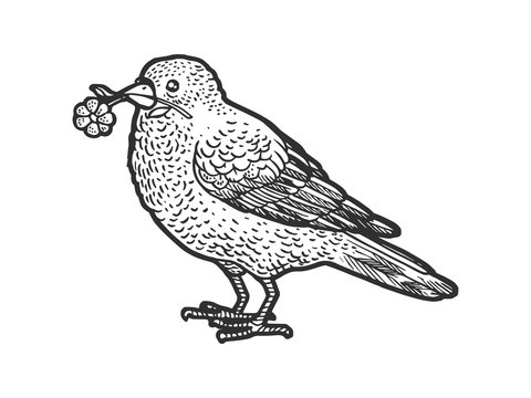 Canary bird with camomile daisy flower in beak sketch engraving vector illustration. T-shirt apparel print design. Scratch board imitation. Black and white hand drawn image.
