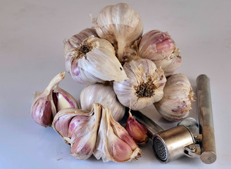 Wiązka czosnek (Allium L.) na białym tle