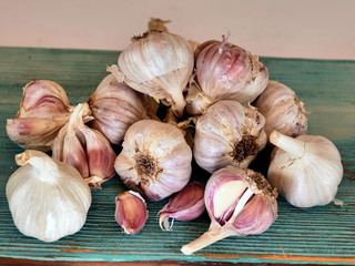 Wiązka czosnek (Allium L.) na białym tle