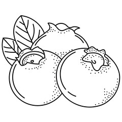 Hand drawing blueberries; doodle berries for stickers, posters, web design. Black and white vector illustration.