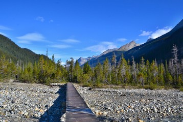Wooden bridge over the river leading into the forest and high mountains. Yoho National Park, Canada.