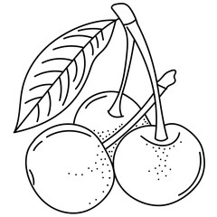Hand drawing cherry; doodle berries for stickers, posters, web design. Black and white vector illustration.