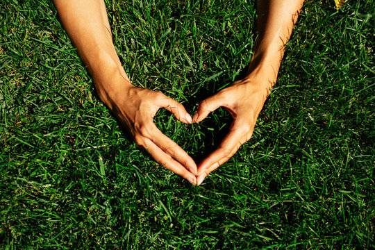 Hands in the grass in the form of heart.hands holding green heart shaped grass/ green baby plants arranged in a heart shape / love nature / save the world / heal the world / environmental preservation