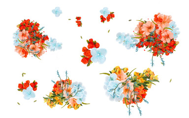 Drawn summer flowers on a white background