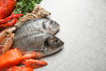 Fresh raw fish and different seafood on light grey table. Space for text