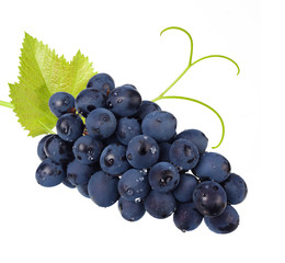 blue grapes berries with leaves isolated on white background
