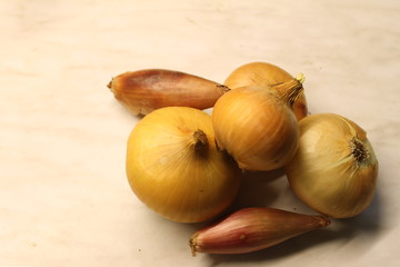 Onion on the table