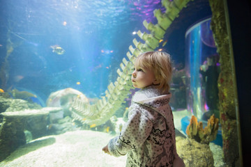 Obraz na płótnie Canvas Child, enjoying sea life in aquarium
