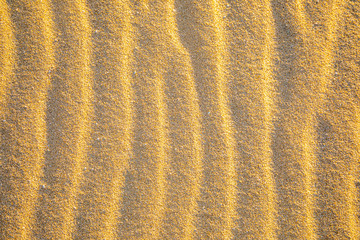 Fine sand texture - Sandy sunny beach for background - Top view - Full frame shot - Close-up sun sand texture on beach in summer – desert dune golden yellow - travel holiday vacation Close up