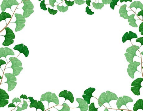 Frame made of Ginkgo biloba leafs, vector illustration