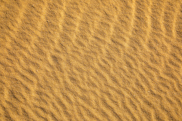 Fine sand texture - Sandy sunny beach for background - Top view - Full frame shot - Close-up sun sand texture on beach in summer – desert dune golden yellow - travel holiday vacation Close up