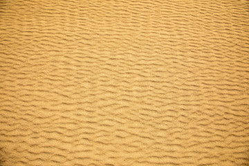 Fine sand texture - Sandy sunny beach for background - Top view - Full frame shot - Close-up sun sand texture on beach in summer &ndash; desert dune golden yellow - travel holiday vacation Close up