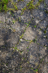 Cracked stone texture