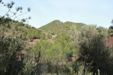 montaña